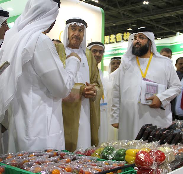 Long-Term Partnerships, Priority for Elite Agro at WOP 2016