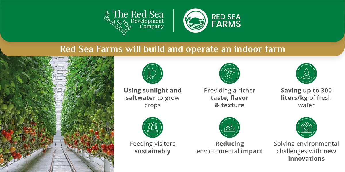 red-sea-farms-infographic