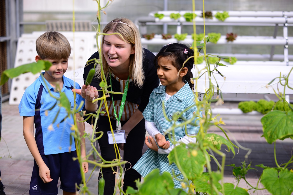 AHBS - Wellbeing (2)