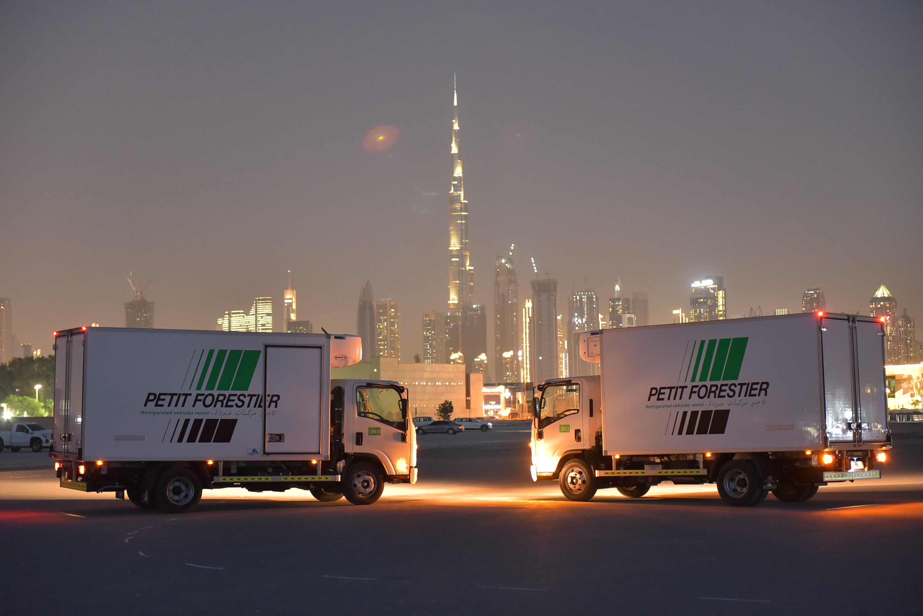 Dmax Petit Forestier