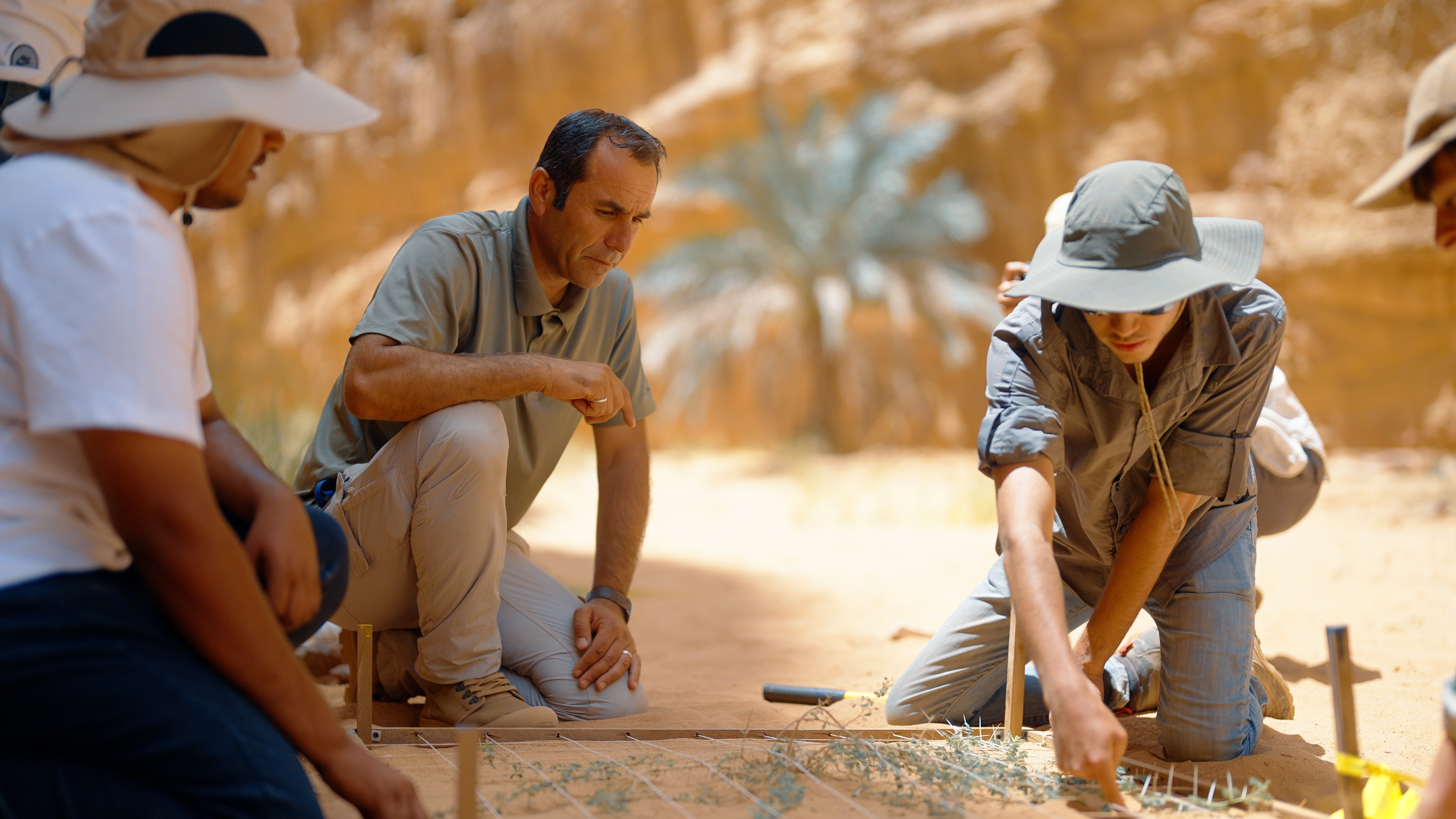 Ecological Restoration in Sharaan Nature Reserve (1)