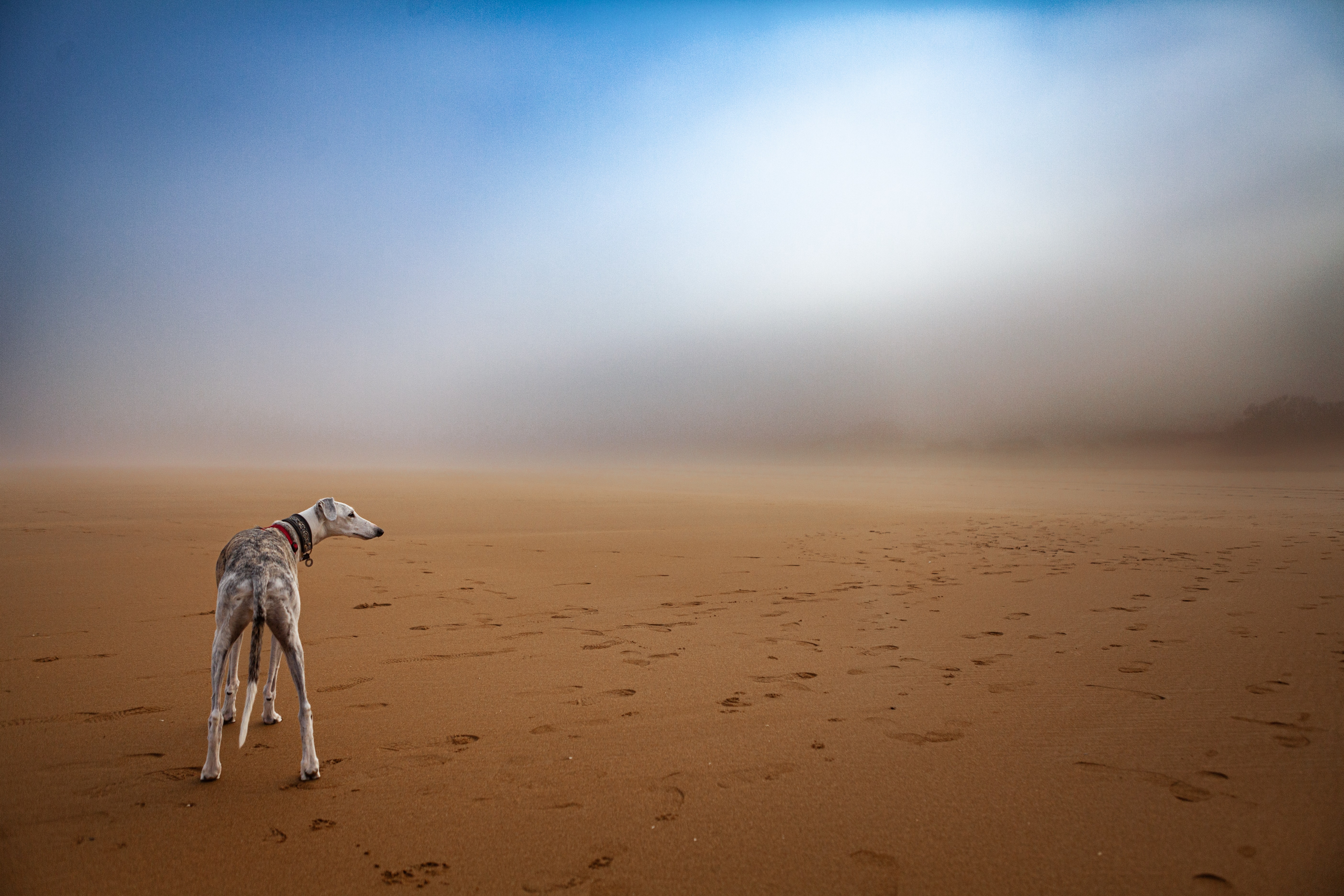 Galga, niebla y playa