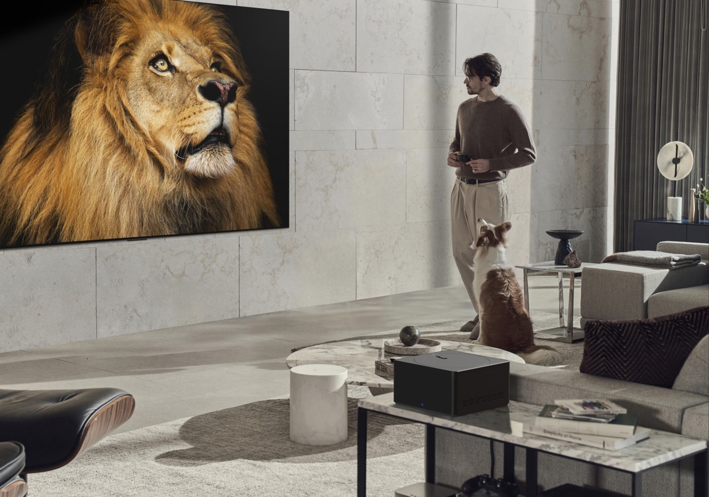 LG OLED Evo M3_1707829012