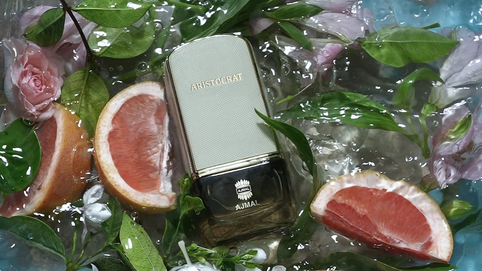 Image 1- Aristocrat Coastal