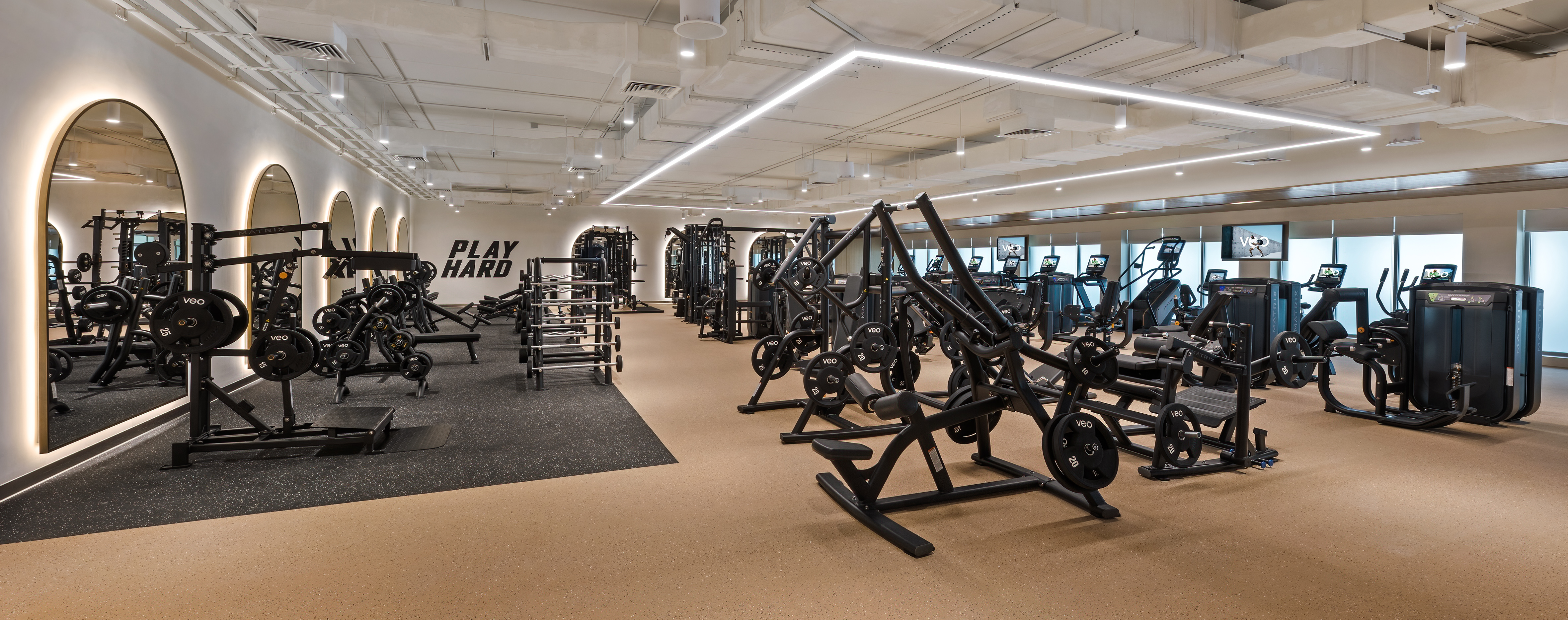 Copyright Alex jeffries