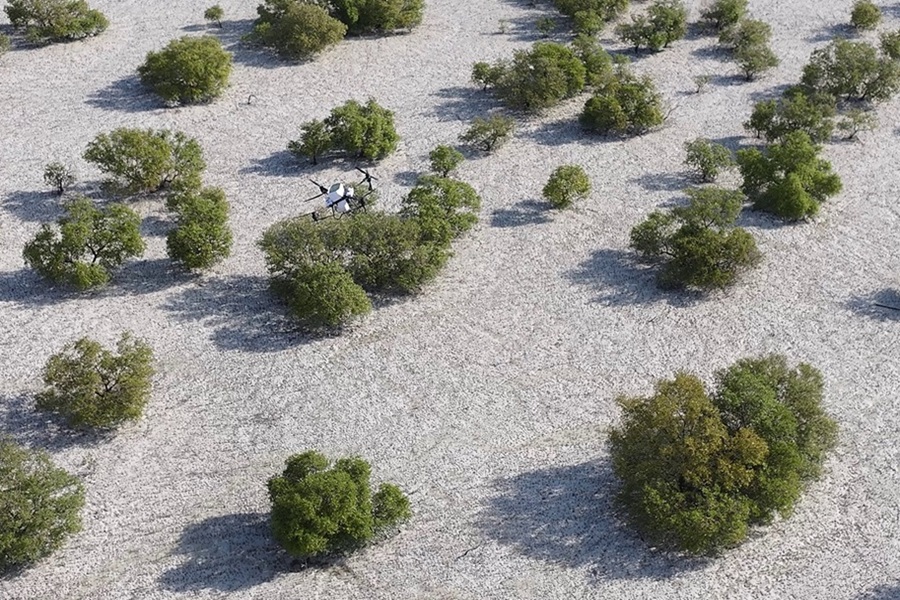 Nabat-New-Abu-Dhabi-Climate-Tech-Venture-to-use-AI-and-Robotics-to-Restore-Mangroves-and-Boost-Climate-Resilience.jpg