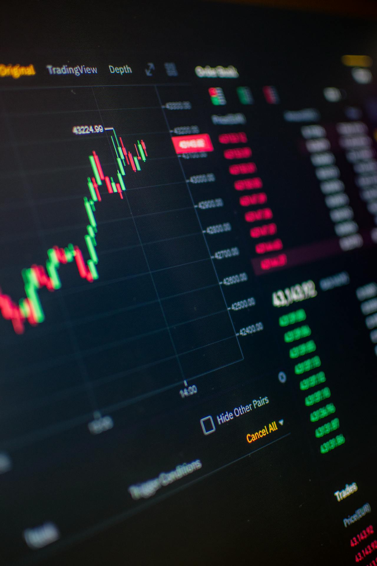 pexels-vito-gorican-10954628-10628029