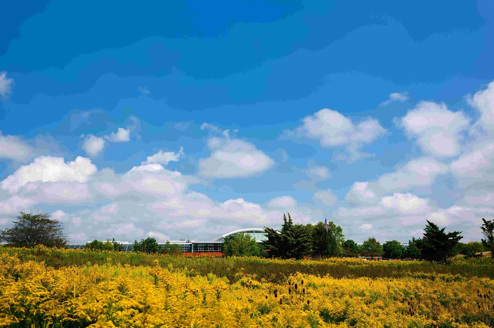 MillerKnoll_BetterWorldReport_image