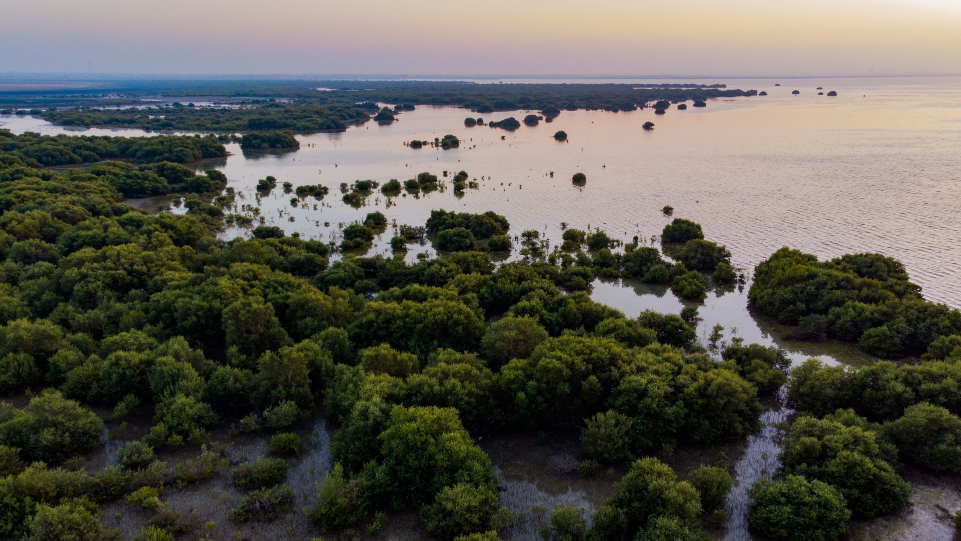 EAD partners with INPEX JODCO Foundation