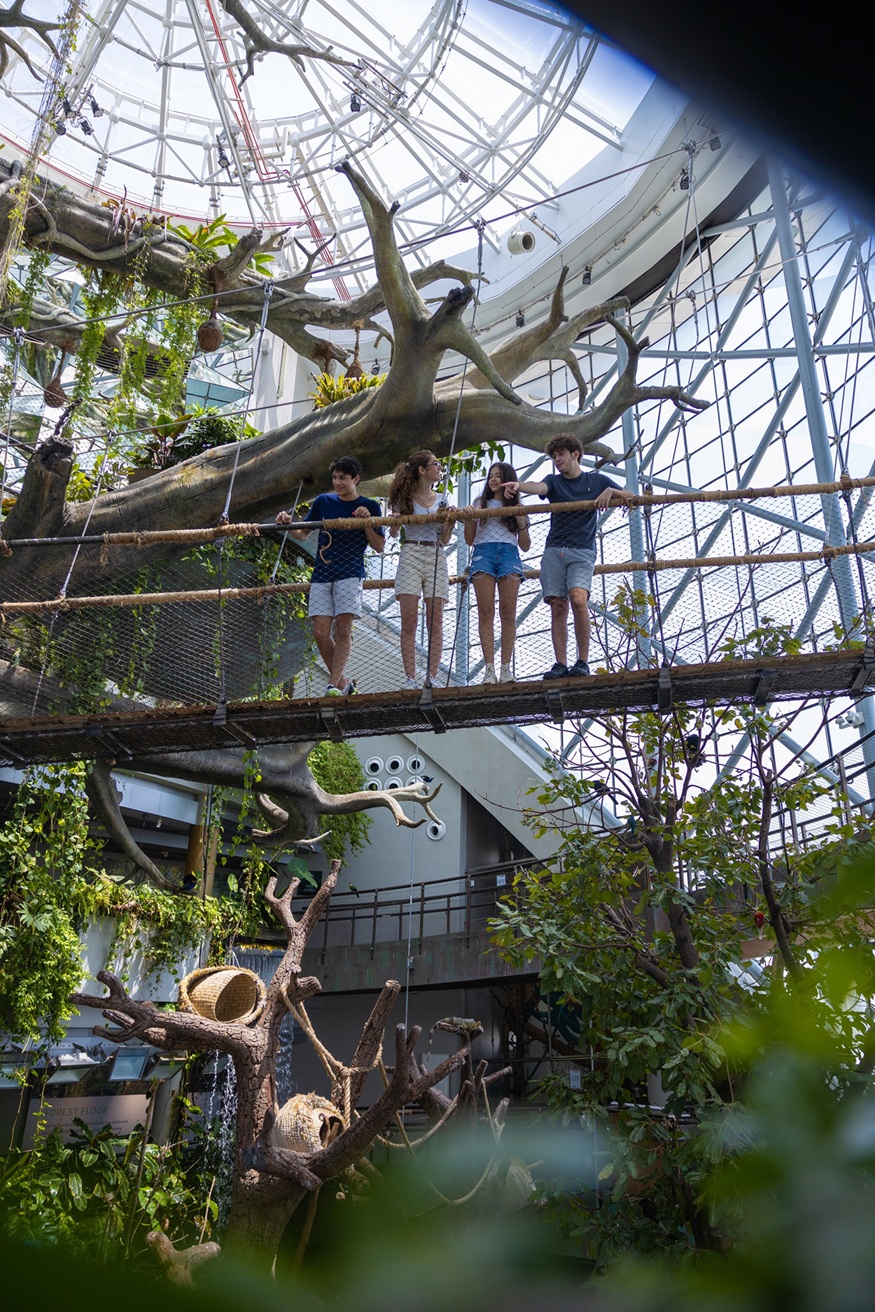 The Green Planet Dubai image