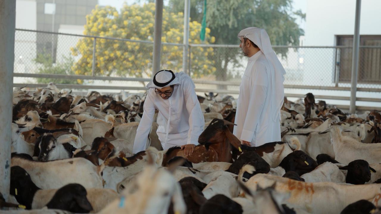 WhatsApp Image 2026-03-18 at 2.42.24 PM (1)