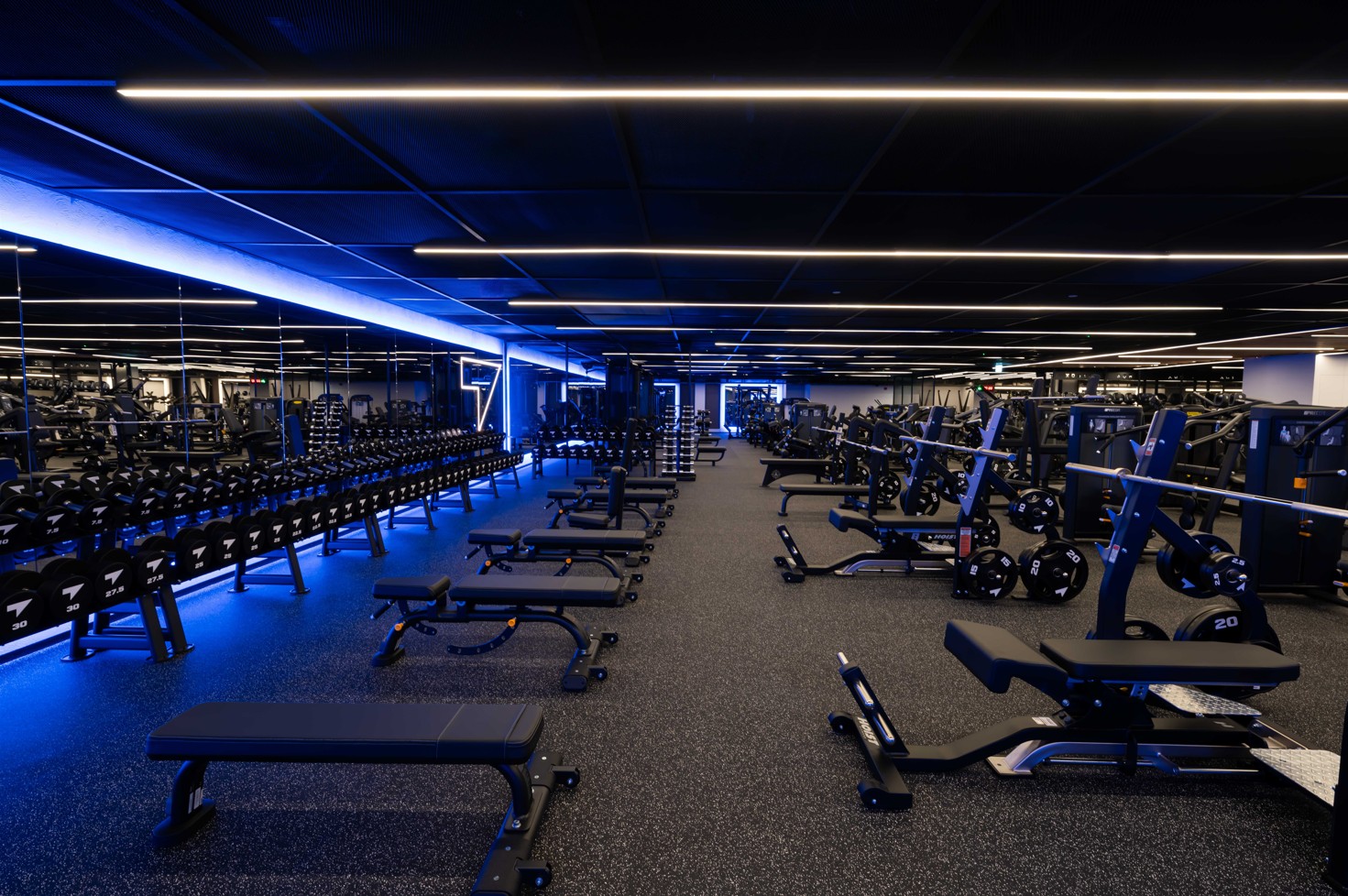 Fitcode Q-East_LR